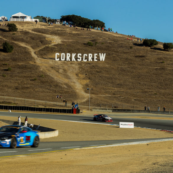 Iconic Corkscrew